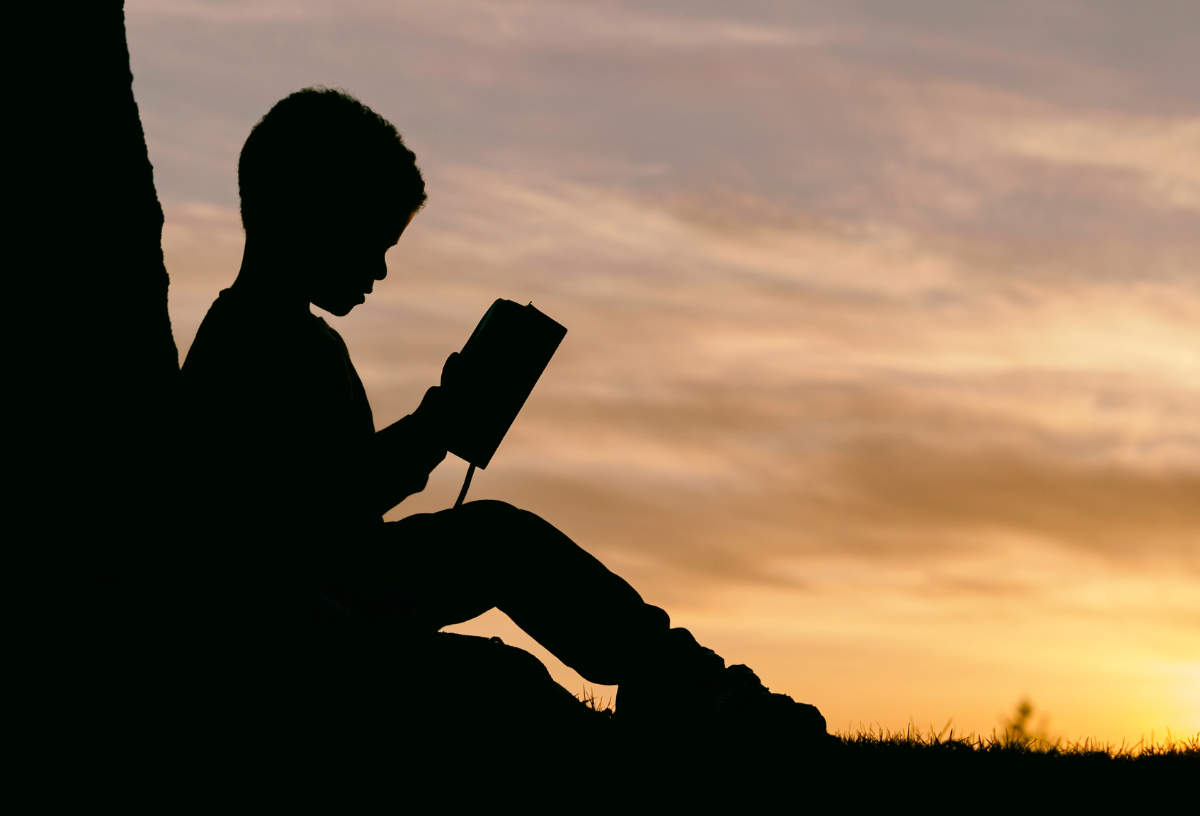Ein Junge liest draußen in der Natur ein spannendes Buch.